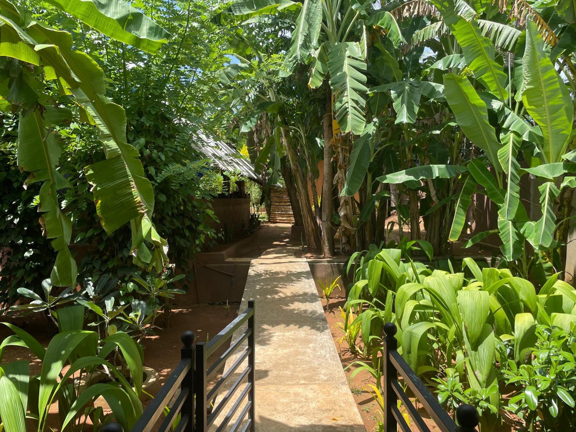 Mango Tree House Hotel Udawalawe Exterior photo